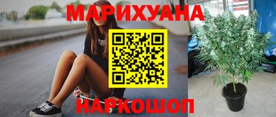 дурь Камышлов