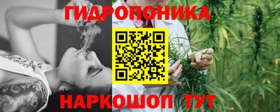 дурь Камышлов