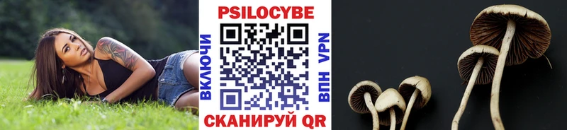 Галлюциногенные грибы прущие грибы  купить наркотики цена  Новошахтинск 