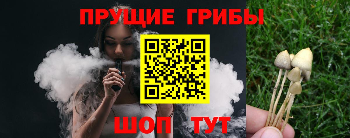 Галлюциногенные грибы мицелий Новошахтинск