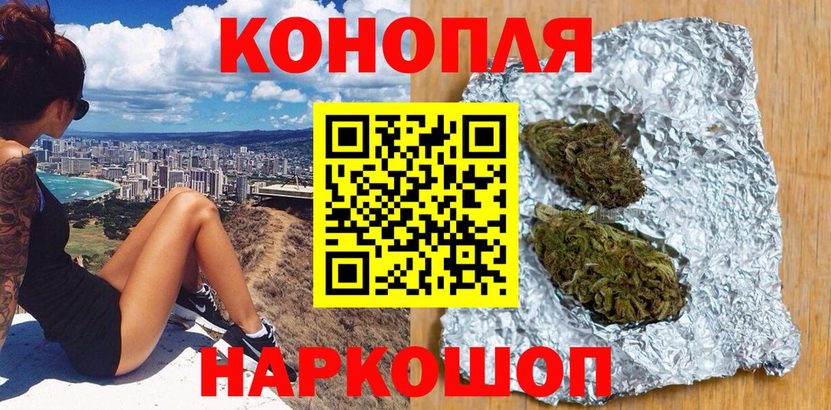 Каннабис сатива Новошахтинск